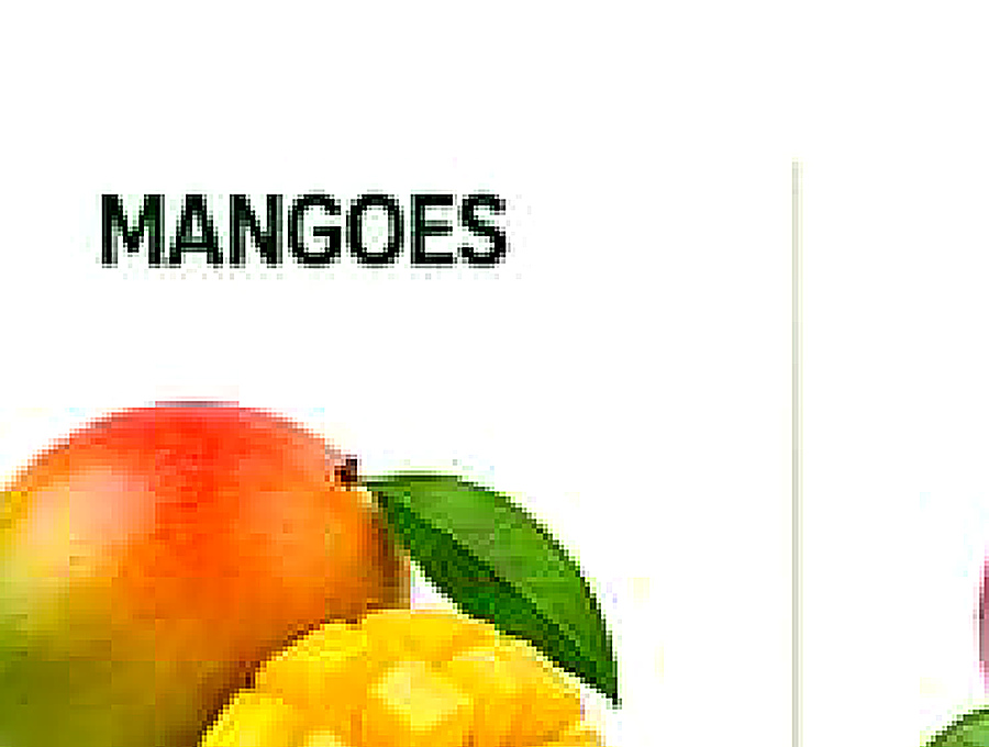 Mangoes image from company profile PDF