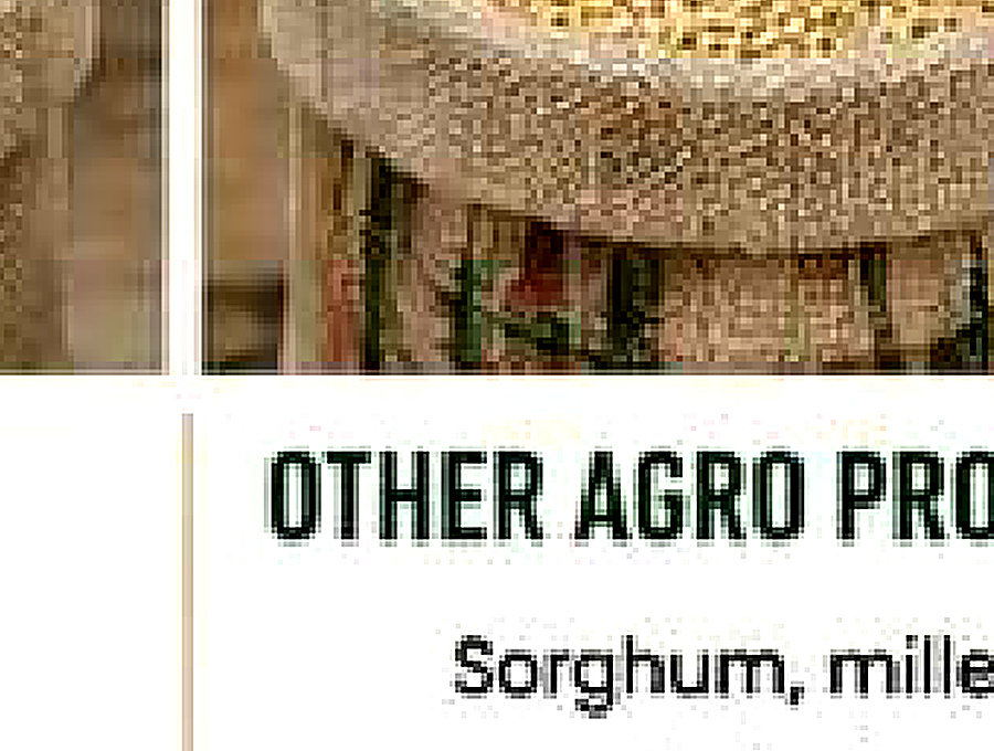 Other Agro Produce image from company profile PDF