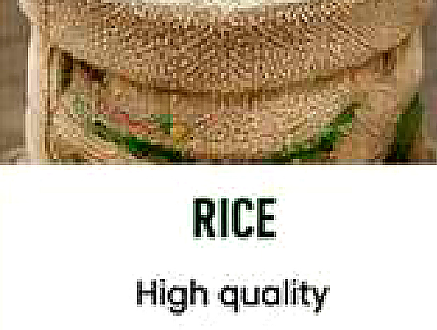 Rice image from company profile PDF