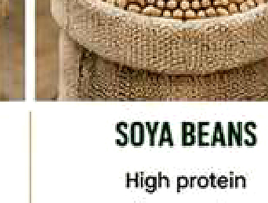 Soya Beans image from company profile PDF