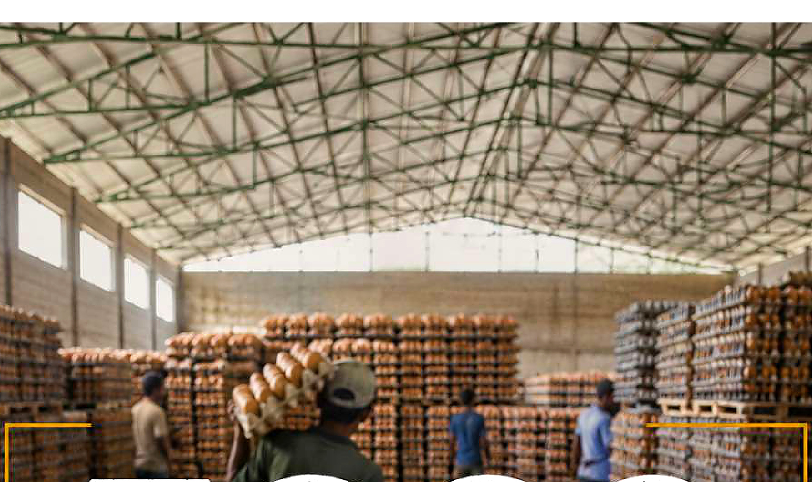 Rhylo internal distribution warehouse image from company profile PDF